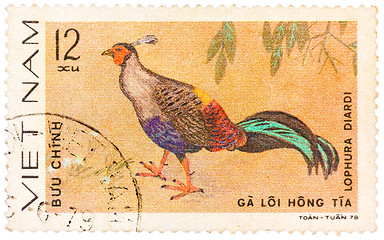 Image showing Stamp printed in Vietnam shows animal ornamental bird