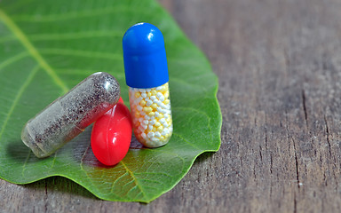 Image showing Pills over green leaf nut