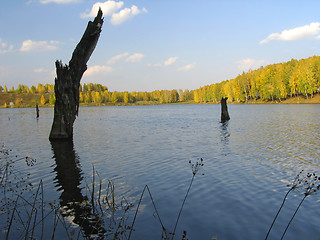 Image showing Autumn view of lake and forest