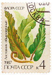 Image showing Post stamp printed in USSR (CCCP, soviet union) shows image of h