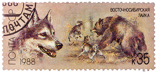 Image showing USSR - CIRCA 1988: A stamp printed in USSR, shows East Siberian 