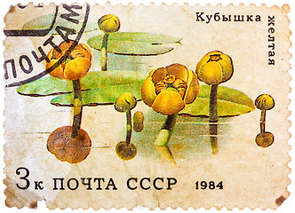 Image showing Post stamp printed in USSR (CCCP, soviet union) shows image of w