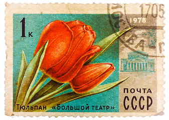 Image showing Post stamp printed in USSR (CCCP, soviet union) shows image of t