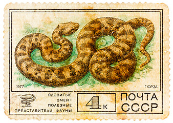 Image showing Stamp sheet printed in Russia shows Viper, collection of Protect