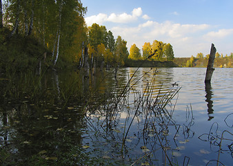 Image showing Autumn view of lake and forest