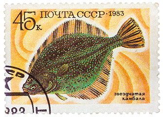 Image showing Stamp printed by Russia, shows underwater fish flounder