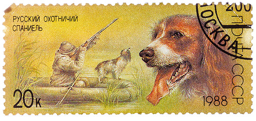 Image showing Stamp printed in USSR, shows Russian spaniel, duck hunt, series 