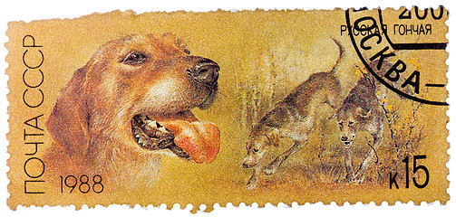 Image showing Stamp printed in USSR, shows Russian retrievers, series Hunting 