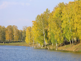 Image showing Autumn view