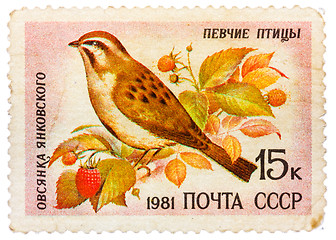 Image showing Stamp printed by Russia, shows bird, Jankowski's Bunting