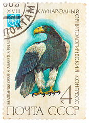 Image showing Stamp printed in USSR (Russia) shows a bird Haliaeetus pelagitus