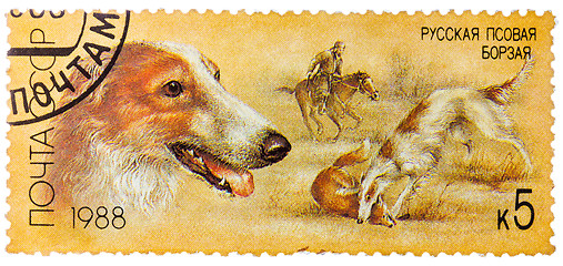 Image showing Stamp printed by Russia, shows dog, hound, hunting