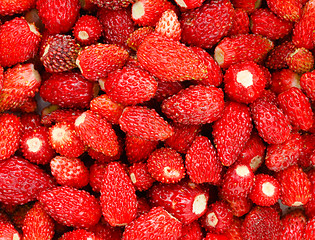 Image showing Strawberry. Strawberries. Organic Berries Background