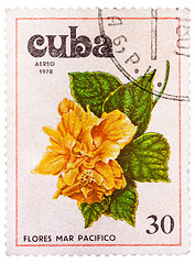 Image showing Stamp printed in Cuba shows image Tues flowers pacifist