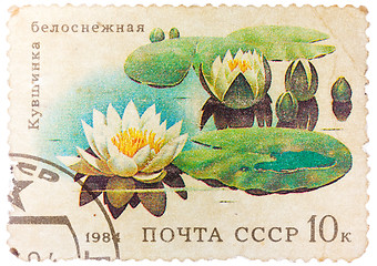 Image showing Stamp from the USSR shows image of water lilies