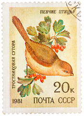 Image showing Stamp printed by Russia, shows bird, Reed Parrotbill