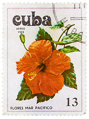 Image showing Postage Stamp Shows Flowers of the Pacific Ocean