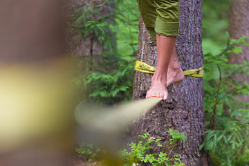 Image showing Slack line in the nature.