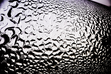 Image showing Green drops of water - light from backside. Macro