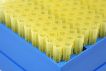 Image showing Rack of pipets