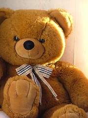 Image showing teddy bear