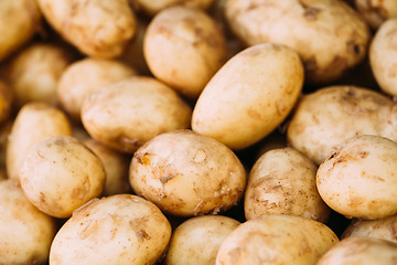 Image showing Fresh organic young raw potatoes for selling at vegetable market