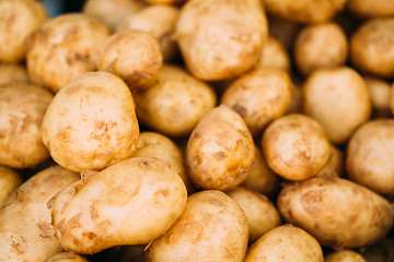 Image showing Fresh organic young raw potatoes for selling at vegetable market