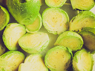 Image showing Retro look Brussel sprouts