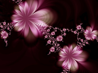 Image showing Flowers on a black background