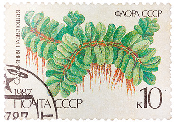 Image showing Stamp printed in the USSR shows Floating Salbiniya