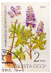 Image showing Post stamp printed in USSR (CCCP, soviet union) shows plant of D