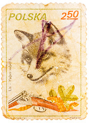 Image showing Stamp printed in Poland shows image of a fox and shotgun