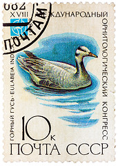 Image showing Stamp printed in USSR (Russia) shows a bird Eulabeia indica 