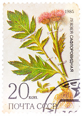 Image showing Stamp from USSR, shows medicinal plant from Siberia