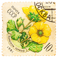 Image showing Stamp printed by USSR, shows Parageum Montanum