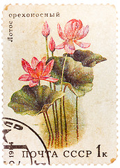 Image showing Post stamp printed in USSR (CCCP, soviet union) shows image of l