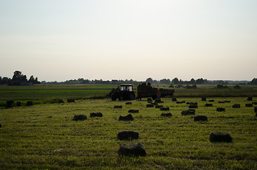 Image showing farmers load dried hay straw bales to tractor 