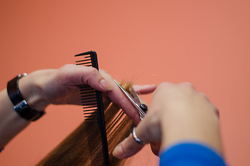 Image showing close up of hairdresser hand cut hair woman 