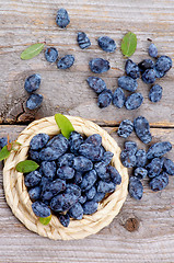 Image showing Honeysuckle Berries