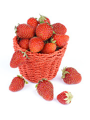 Image showing Forest Strawberries