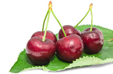 Image showing Big ripe cherry juicy sweet beries wet with water drops fruits