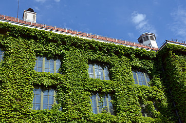 Image showing Natural History Museum at the University Botanical Garden in Oslo 