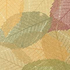 Image showing Dry autumn leaves template. EPS 8