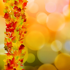 Image showing Autumn leaves, very shallow focus. EPS 8