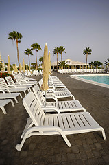 Image showing Row of sunbeds