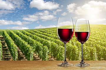 Image showing Glass of red wine against vineyard