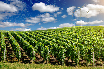 Image showing Wind generators turbines on summer landscape