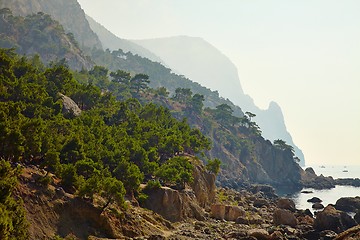 Image showing Coastal Landscape