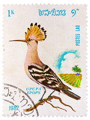 Image showing Stamp printed in LAOS shows Hoopoe (Upupa epops), from series Bi