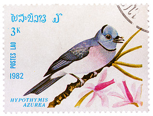 Image showing Stamp printed in LAOS shows Black-naped Monarch,(Hypothymis azur